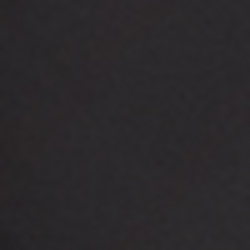 Polo Black