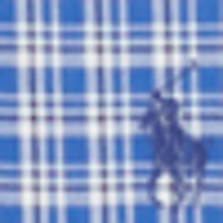 Blue/White