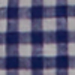 Blue/White