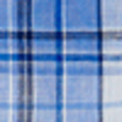 Blue/White