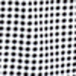 Polo Black Gingham