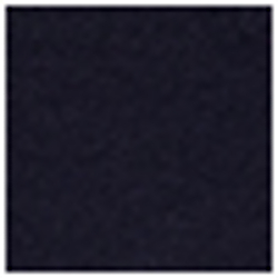 Spring Navy