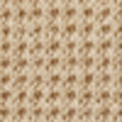 Heathered Camel