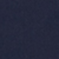 College Navy
