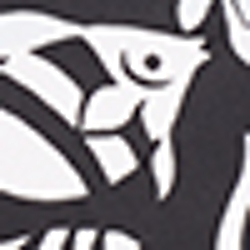 Black/White Fish/Coral
