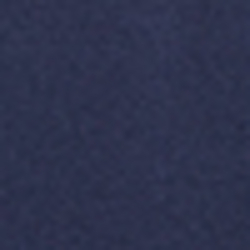 French Navy
