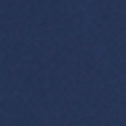 French Navy