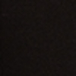 Polo Black