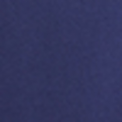 Cruise Navy