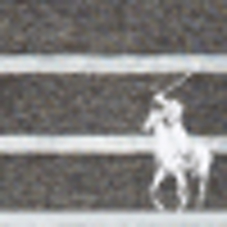Squire/Spring Heather