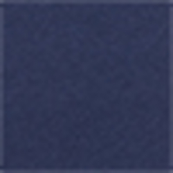 French Navy