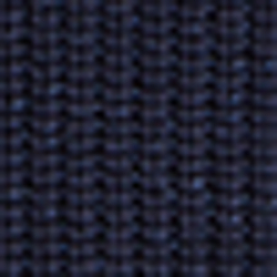 Dark Indigo