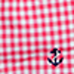 Ultra Pink Gingham W/ Emb