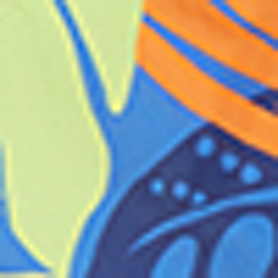 Navy Floral