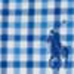 Powder Blue/Royal
