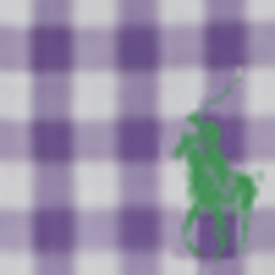 Purple/White