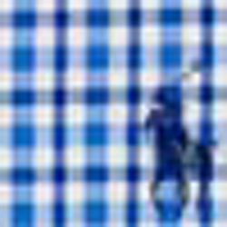 Blue/Royal