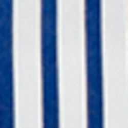 Blue/White