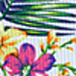 Floral On Seersucker