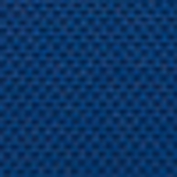 Bright Navy