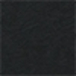 Polo Black