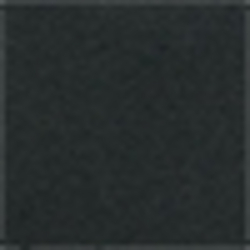 Polo Black