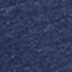 Cruise Navy