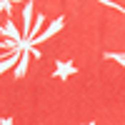 Native Red Wakeboard