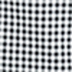 Black/White Fun Shirt