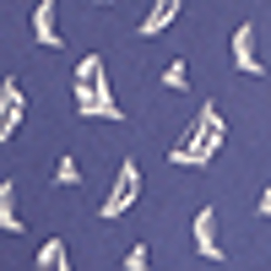 Blackwatch Sail