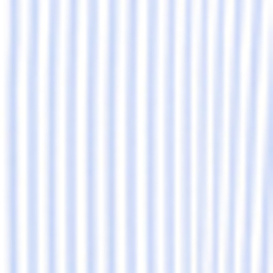 Blue/White