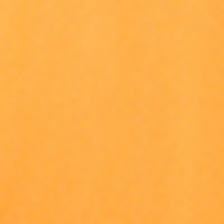 Blaze Rig Orange