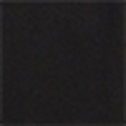 Polo Black