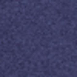 French Navy