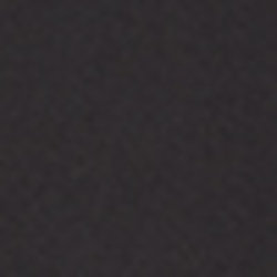 Polo Black