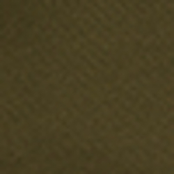 Expedition Olive