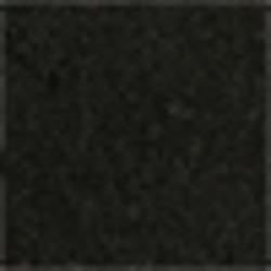 Polo Black Aurora