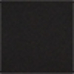 Polo Black