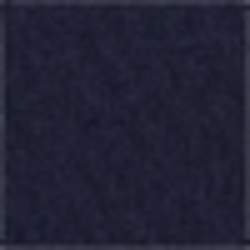 French Navy
