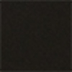 Polo Black Multi