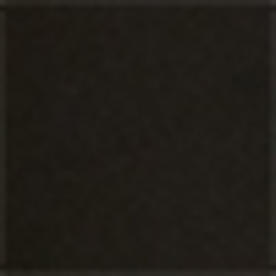 Polo Black
