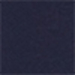 French Navy