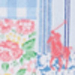 White/Blue Multi