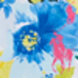 Blue/White Multi