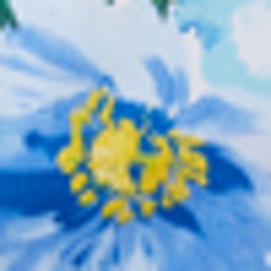 Blue/White Multi