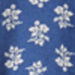 Blue/White Multi
