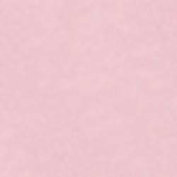 Cyclamen Pink