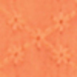 Waterfront Orange