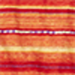 Orange/Cream Multi