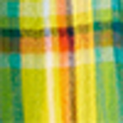 Spring Yellow